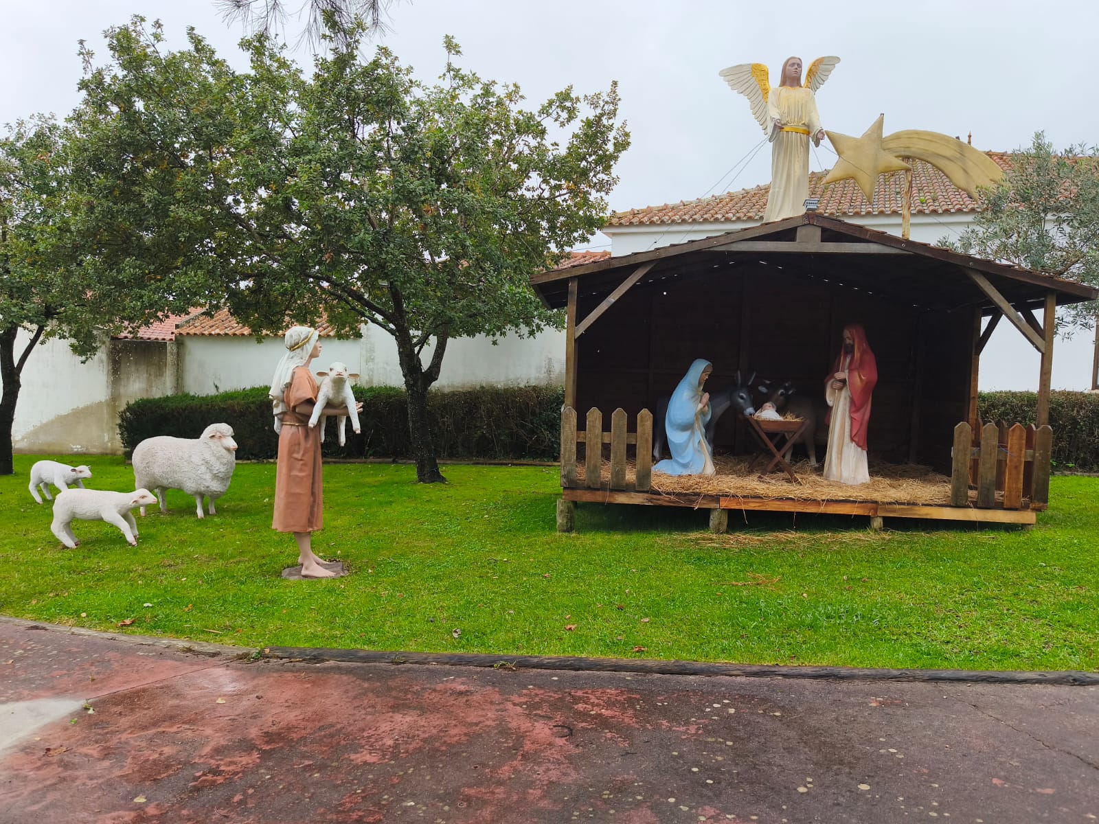 Natal e Presépio na Amoreira